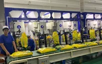 Can Tho prepares first batch of rice to EU with zero tariff