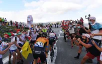 Các tay đua Tour de France lo ngại về khán giả