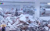 Nguy hại tình trạng nhiễm độc thiếc