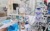 Bé trai 13 tuổi sốc sốt xuất huyết, biến chứng suy đa cơ quan