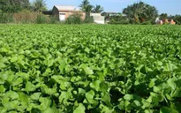 Start-ups make significant contributions to agriculture