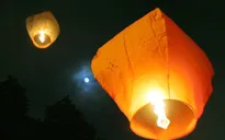 Đức: Vườn thú bị cháy, nhiều động vật chết cháy vì... thả đèn trời