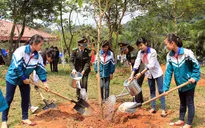 Thủ tướng chỉ thị: Cả nước chung sức, đồng lòng trồng mới 1 tỷ cây xanh