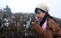 Băng giá bất ngờ xuất hiện ở Quảng Ninh