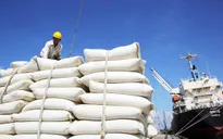 Bộ Tài chính lý giải nguyên nhân cần xếp hạng nhà thầu cung cấp gạo dự trữ quốc gia