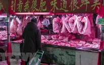 Chỉ số giá tiêu dùng của Trung Quốc tăng trở lại trước thềm Tết Nguyên đán