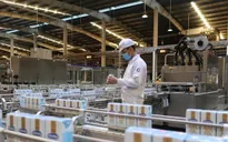 Thêm 2 đơn vị được cấp mã giao dịch xuất khẩu sữa sang Trung Quốc
