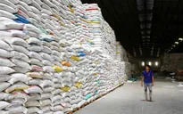 Lo thiếu container, doanh nghiệp xuất khẩu gạo "đứng ngồi không yên"