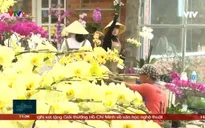 Lâm Đồng: hỗ trợ nông dân khi thị trường hoa tết gặp khó do covid .