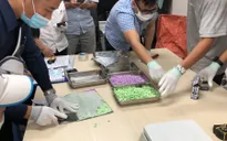 Phát hiện hơn 31kg ma túy trong 16 kiện hàng chuyển phát nhanh