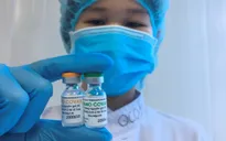 Cuối năm nay, Việt Nam ít nhất có 1 loại vaccine COVID-19 được cấp phép lưu hành