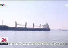 Tổng Cục Hải quan phản hồi về vướng mắc trong việc xuất khẩu mặt hàng đá vôi công nghiệp