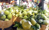 Cước vận tải tăng “chóng mặt”, xuất khẩu trái cây gặp khó