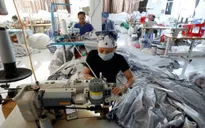 Việt Nam, Singapore dẫn đầu Đông Nam Á về phục hồi kinh tế