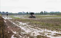 Kiểm tra phòng chống hạn mặn và sản xuất vụ Đông Xuân