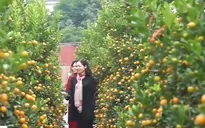 Làng nghề tất bật dịp cuối năm