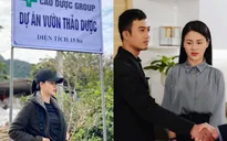 Hướng dương ngược nắng: Hé lộ hình ảnh Minh về Cao Dược làm việc