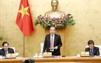 Có chính sách căn cơ, lâu dài để phát triển toàn diện thanh niên