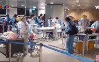 Đà Nẵng giám sát y tế khép kín với công dân nhập cảnh