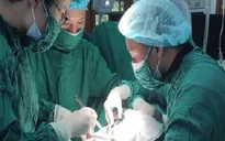 Cấp cứu ngư dân đau ruột thừa trên đảo Bạch Long Vĩ