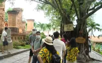 Du lịch kiểu "bình thường mới" trong năm 2021