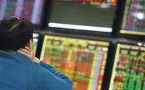 Chứng khoán rung lắc mạnh, nhà đầu tư vẫn ồ ạt mở tài khoản