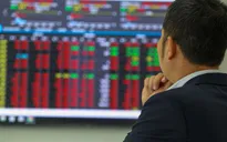 Vì sao thị trường chứng khoán giảm sâu kỷ lục?