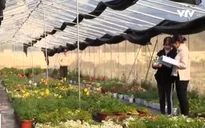 Thúc đẩy vai trò của trường đại học trong hệ sinh thái sáng tạo khởi nghiệp