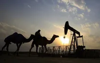 IEA hạ dự báo nhu cầu dầu năm 2021