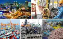 Kinh tế Việt Nam vững vàng vượt "sóng lớn": Kỳ tích từ sức mạnh của ý Đảng, lòng dân