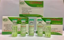 Việt Nam sớm chủ động được nguồn vaccine phòng COVID-19