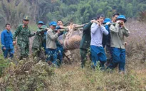 Hủy nổ thành công quả bom nặng khoảng 340 kg sót lại sau chiến tranh