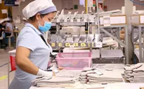 Hơn 1,3 triệu lao động có việc làm trong năm 2020