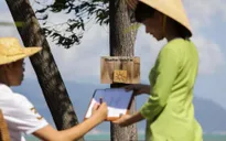 Phong Nha, Hội An và Ninh Bình là top 3 điểm du lịch hiếu khách nhất Việt Nam