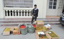 Bắt nam thanh niên vận chuyển gần 1 tạ pháo cùng 1 khẩu súng tự chế
