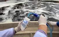Xử lý thí điểm thành công mùi bãi rác Nam Sơn bằng công nghệ Nhật Bản