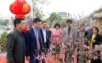 Không khí Tết ngập tràn tại Lễ hội hoa đào Nhật Tân