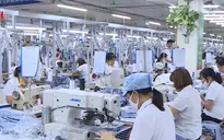 SCIC cần thay đổi mô hình hoạt động để đầu tư hiệu quả