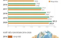 Giai đoạn 2015-2020: Xuất nhập khẩu là điểm sáng của nền kinh tế