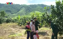 Cho dân "cần câu để tự câu cá" - Cách giảm nghèo bền vững từ nhóm đỡ đầu vùng khó khăn