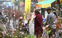 Hà Nội hoãn nhiều hoạt động dịp Tết Tân Sửu do dịch COVID-19