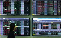 VN-Index giảm kỷ lục rồi bật tăng dựng đứng: Ai tham lam, ai sợ hãi?