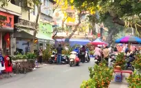Ảm đạm chợ hoa Tết mùa COVID-19