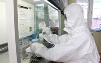 Ngày 24/9, thêm 1.176 ca mắc COVID-19 mới