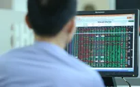Chứng khoán ngập sắc xanh trong phiên giao dịch đầu năm 2021