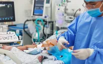 Cứu sống nhiều trẻ sốc sốt xuất huyết nặng