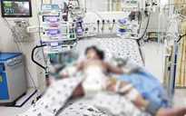 Cứu sống bé gái 5 tuổi sốc sốt xuất huyết cận kề cửa tử