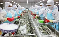 Việt Nam đặt mục tiêu dẫn đầu thế giới về sản xuất và xuất khẩu thủy sản
