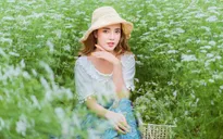Mãn nhãn với cánh đồng mùi già rộng lớn nhất Việt Nam
