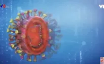 Biến chủng Sars-CoV-2 ở Nam Phi có thể kháng vaccine